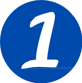 SEGURIDAD PRIVADA